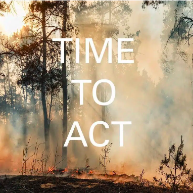 interior design declares