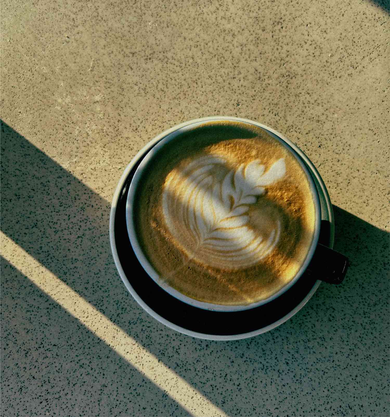 Black Duck Coffee Roasters