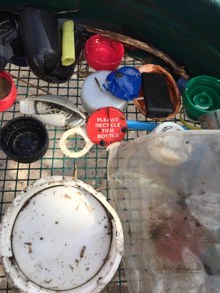 Volume Beach Clean-01