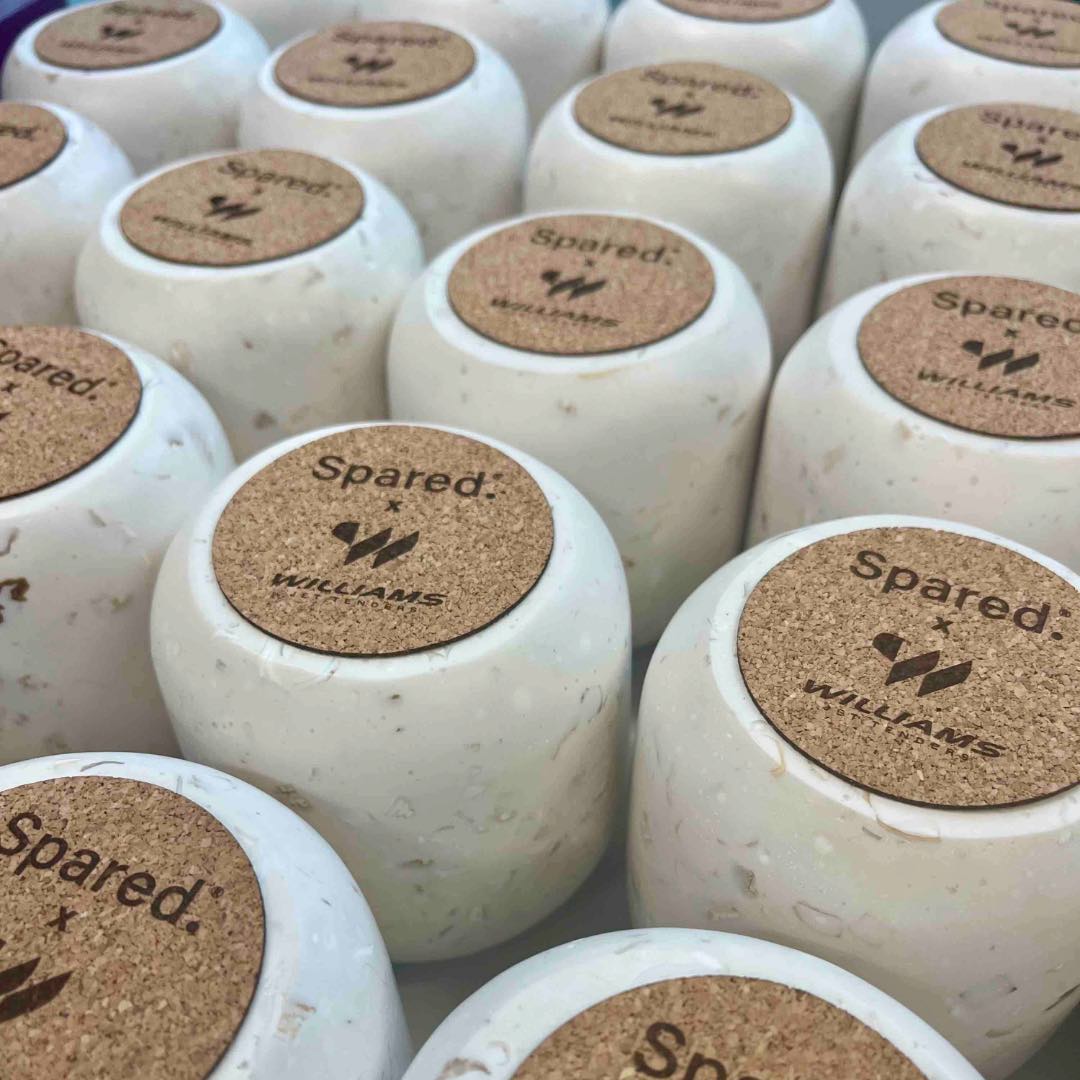 Williams Jet Tender Collaboration