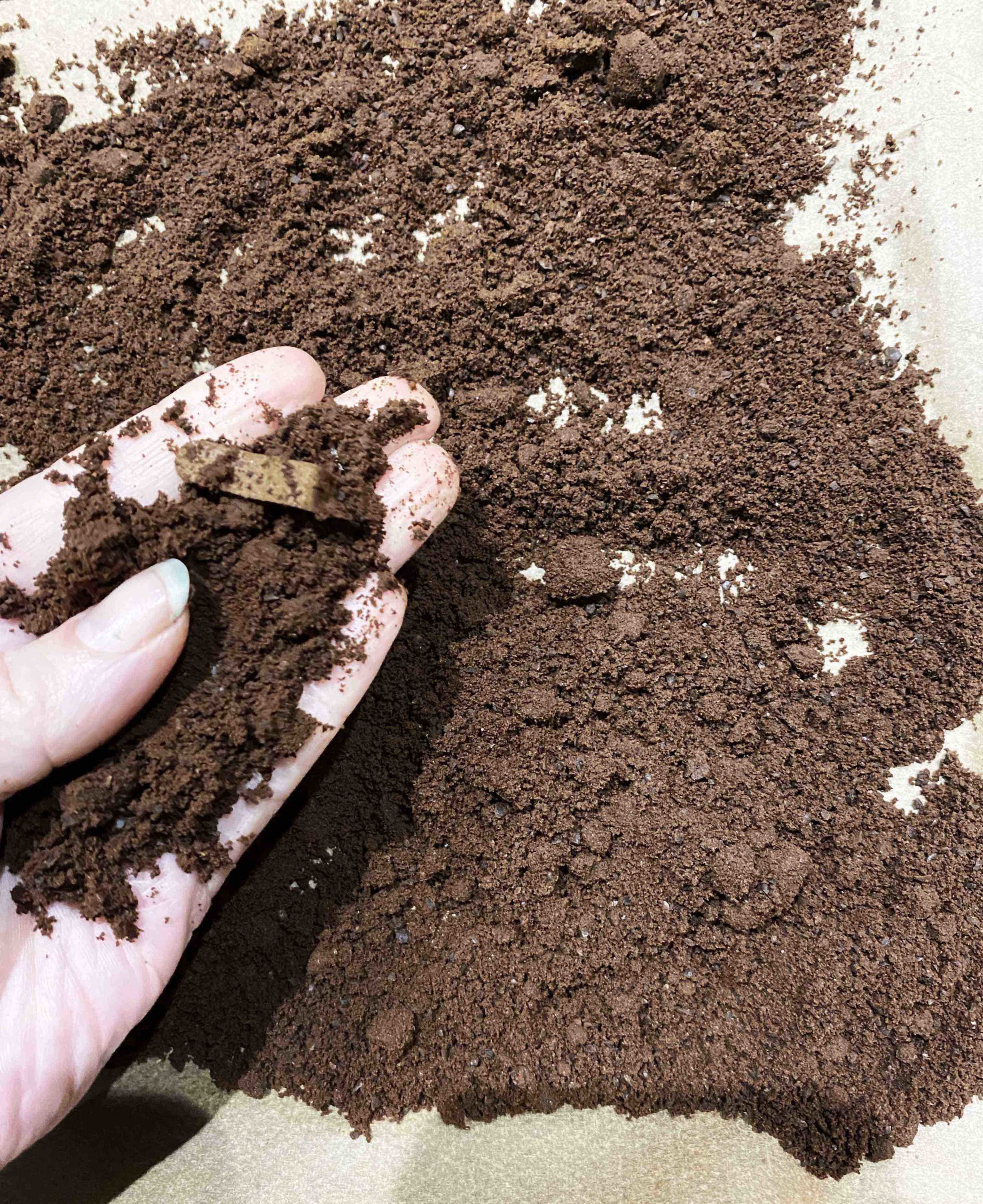 coffee waste_Spared_R&D